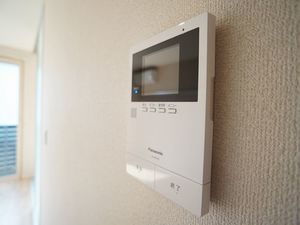 Ｃｒｙｐｔｏｍｅｒｉａ湘南 102号-10