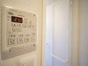 Ｃｒｙｐｔｏｍｅｒｉａ湘南 102号-11