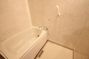 角田ハイツ　Ａ 202号-9