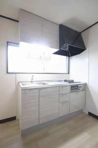 コーポアイランド 203号-8