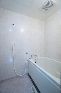 パレスサイドハイツ 103号-9