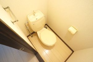 パレスサイドハイツ 202号-9