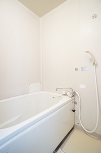 マロンハイムASUKA 203号-9