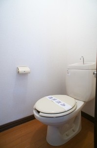 みどりハイツ B 202号-11