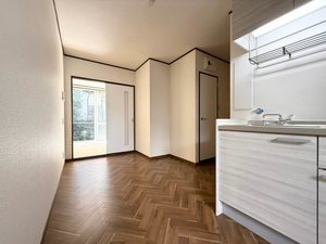 フラットＶＩＰ 102号-9