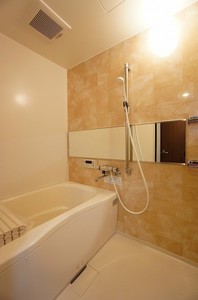 カミーリア・レジデンス 102号-11