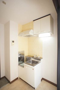 ルミエール矢向 206号-8