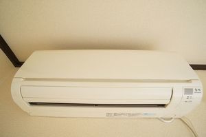 サンライト湘南 201号-9