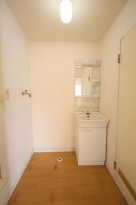 ラプラス浅沼 205号-10