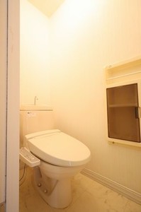 ラプラス浅沼 205号-11