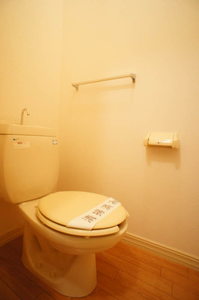 メゾンロワール 102号-10