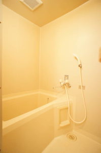 メゾンロワール 102号-11