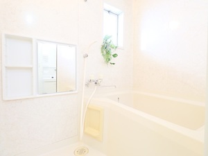 ハイムミツワ　Ｂ 101号-11