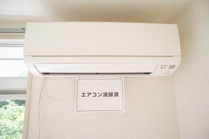 ベル　フラッシュ 202号-6