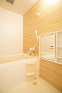 パ－クサイド富士見 101号-11