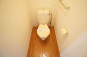 パレス・ヒデ 216号-5