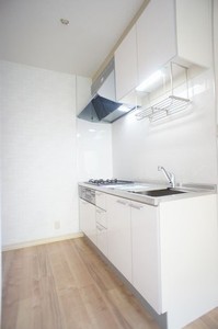 ローゼンハイム湘南 D 101号-6