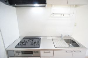 ローゼンハイム湘南 D 101号-7