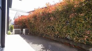 プレジオ・Ｋ 101号-11