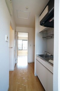ディアス東白楽 203号-11