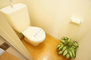 ビオ・ガーデン 205号-8