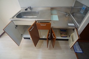 リューフラット 201号-5