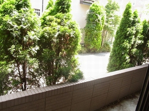 アルファタウン和泉町　Ｄ 101号-11