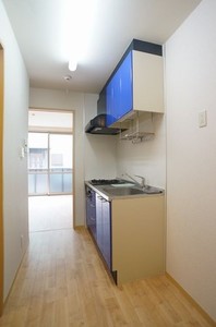 ジョイア・ルミエール C 103号-13