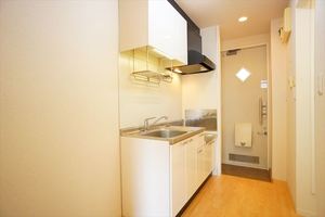 ライキ　エカヒ 101号-6