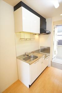 ライキ　エカヒ 101号-7