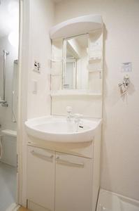 セレーナ片倉 209号-10