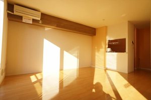 サザンクロス 103号-3