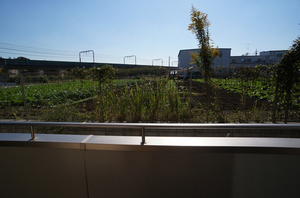 サザンクロス 105号-10