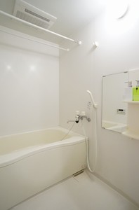 フレグランスＳ　Ⅱ 105号-10