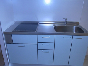 グラン・ブルー反町 206号-5