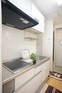 シュタイン横浜大口 203号-4