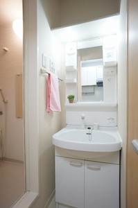 シュタイン横浜大口 203号-5