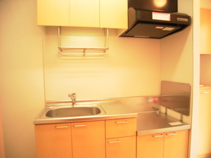 ルミエール弘明寺 101号-6