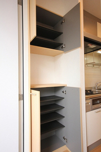 ヴィライグレック 201号-11