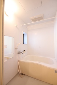 カーサドマーニ Ⅰ 101号-11