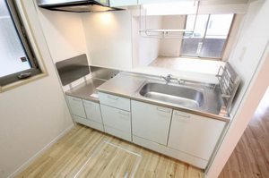 レジデンシア　Ⅰ 101号-9