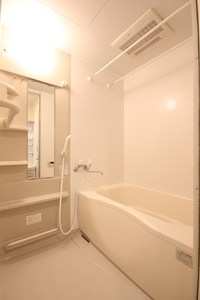 ラフィネＨ　Ⅰ 202号-11