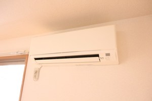 アイビーガーデン 201号-11