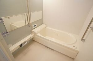 Ｃａｎｅ　Ｃｏｒｓｏ 102号-4