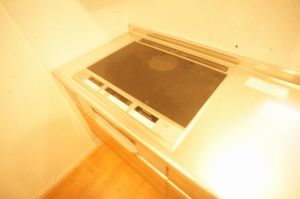 サンクレストⅢ 201号-4