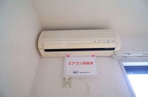 EXCELLENCE 206号-12