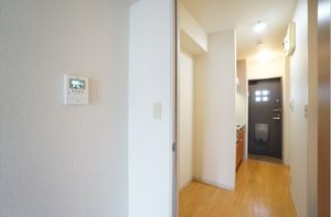 ロベリア 203号-6