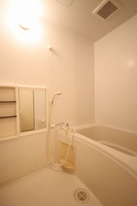 パルヴィレッジ 101号-9