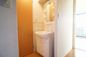 グレイスコート橋本 202号-9