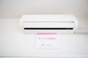 ファサヴィフィオレヒジカタ 104号-5